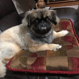 Meet your Posher, Hong